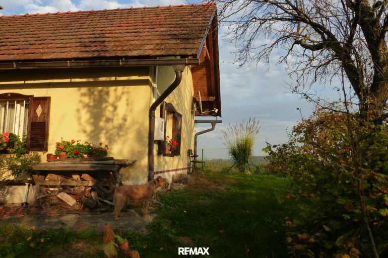 Haus - 9250, Gornja Radgona - IN SLOWENIEN!!  Authentisches Kellerstöckl mit Weinberg in Slowenien!