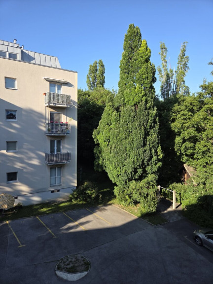 Wohnung - 1190, Wien,Döbling - Neu sanierte und zentral begehbare 3-Zimmer-Neubauwohnung in Bestlage von Untersievering - 1190 Wien!