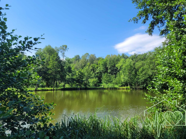 Land und Forstwirtschaft - 7461, Goberling - Naturparadies mit Fischteich, Fischerhütte und Wasserrechten - nahe Stadtschlaining