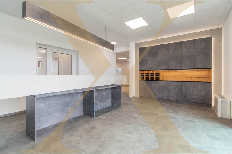 Büro / Praxis - 4060, Leonding - Büro mit Dachterrasse: Moderne Büro-/Ordinationsfläche in zentraler Lage von Leonding mit TG- & Freistellparkplätzen!
