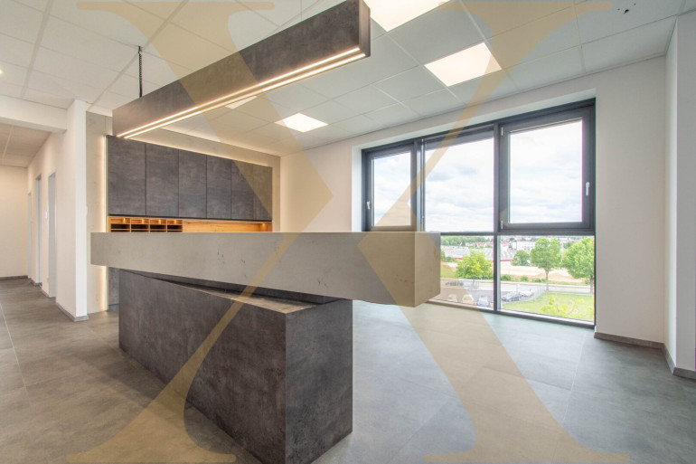 Büro / Praxis - 4060, Leonding - Moderne Büro-/Ordinationsfläche in zentraler Lage von Leonding mit TG- & Freistellparkplätzen!