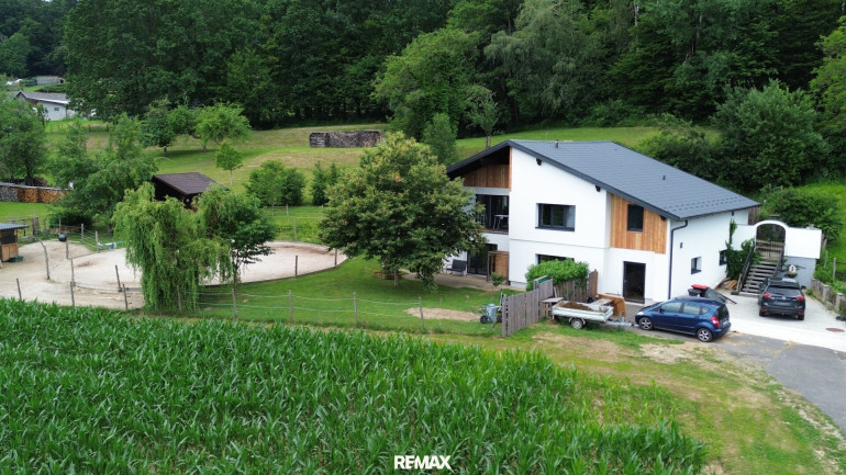 Haus - 7553, Bocksdorf - **Traumhaftes Einfamilienhaus mit Pferdestall, Koppel und großem Grundstück in Bocksdorf**
