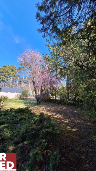 Haus - 2130, Mistelbach - Einfamilienhaus mit viel Potential auf 970m² Grundstück in idyllischer Ruhelage am Waldrand in Mistelbach