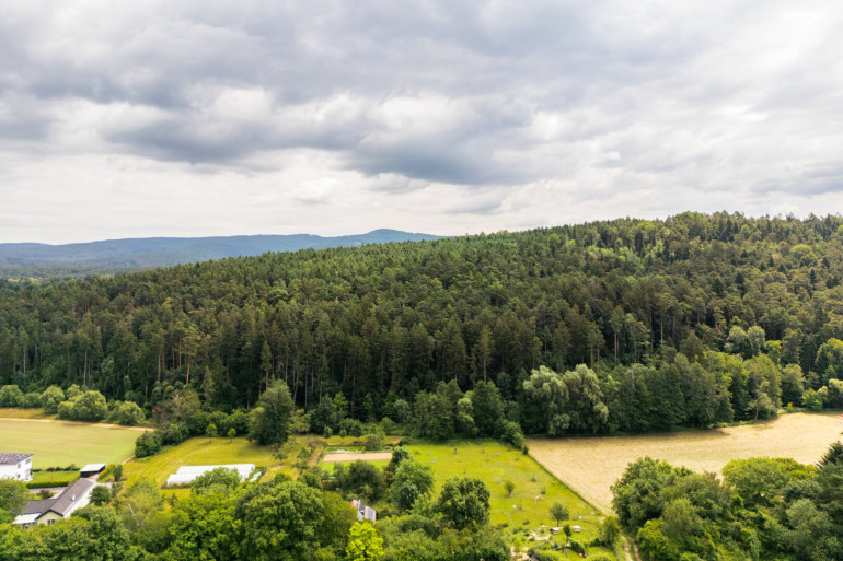 Land und Forstwirtschaft - 2802, Walpersbach - Waldgut "Auf der Schleinz"