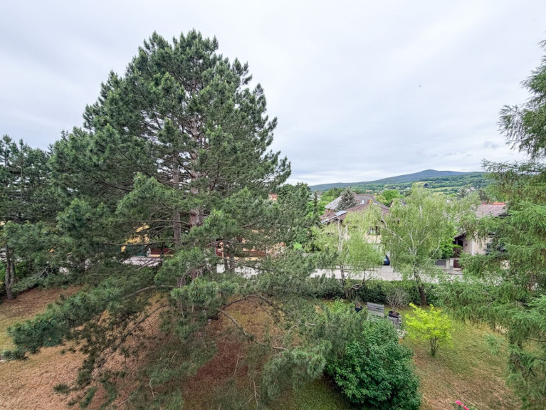 Wohnung - 2500, Baden - Traumblick! 3-Zimmer-Eigentumswohnung mit Loggia, Garage und Lift in zentraler Lage von Baden!