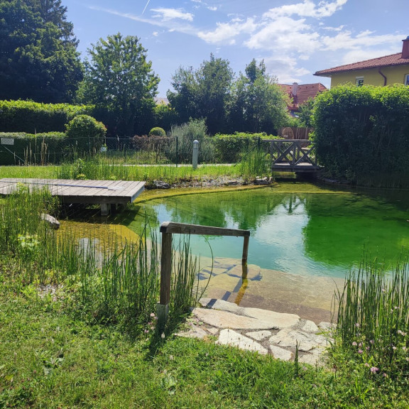 Wohnung - 2500, Baden - Exquisites Wohnen mit großzügiger Sonnen-Terrasse und Schwimmbiotop