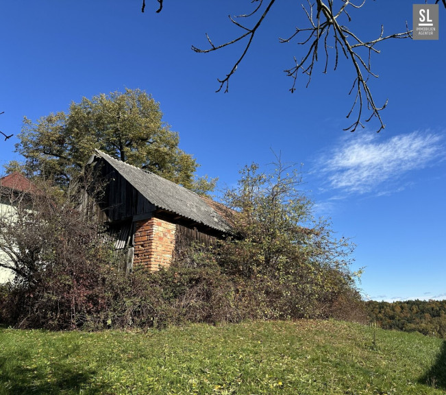 Haus - 8323, Sankt Marein bei Graz - Baufälliges Kellerstöckl -  Liebevoll neu umgestalten oder ganz neu bauen