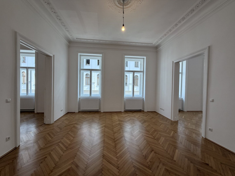 Wohnung - 1040, Wien - Rienößlgasse - 5 Zimmer Altbau Erstbezug mit Gartenmitbenützung