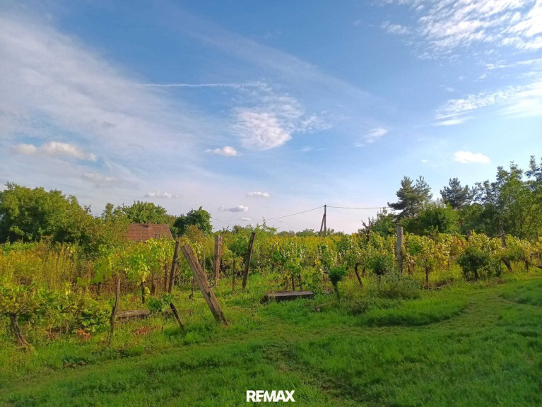 Grundstück - 9834, Csehimindszent - Insel der Ruhe: Großes Freizeitgrundstück in Csehimindszent (Ungarn)
