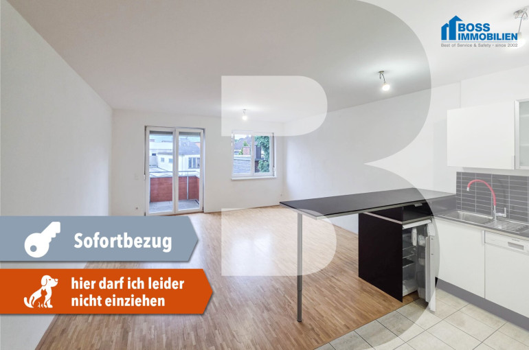 Wohnung - 4050, Traun - Solo