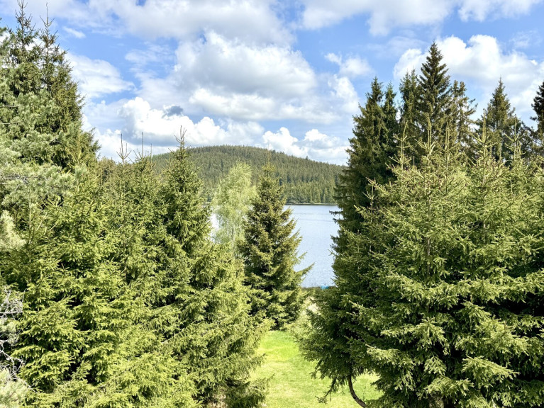Haus - 3665, Edlesberg - HAUS AM SEE - Ihr privates Naturparadies im Waldviertel