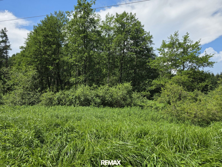 Grundstück - 7537, Neuberg im Burgenland - Waldgrundstück
