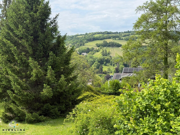 Grundstück - 3400, Klosterneuburg - Großes Grundstück 1.686m² in Klosterneuburg – Ihr Bauplatz in Top-Lage - auch Teilung möglich