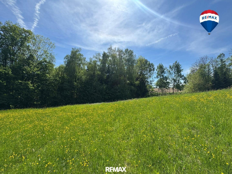 Grundstück - 4082, Aschach an der Donau - Attraktives Baugrundstück in idyllischer Waldrandlage | Am Sommerberg, Aschach an der Donau | Ohne Bauzwang