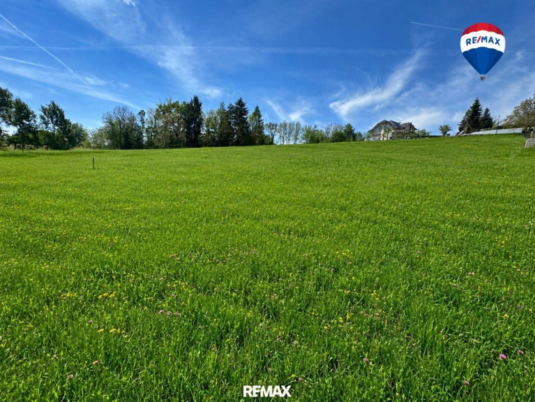 Grundstück - 4082, Aschach an der Donau - TOP Baugrundstück am Aschacher Sommerberg – ohne Bauzwang