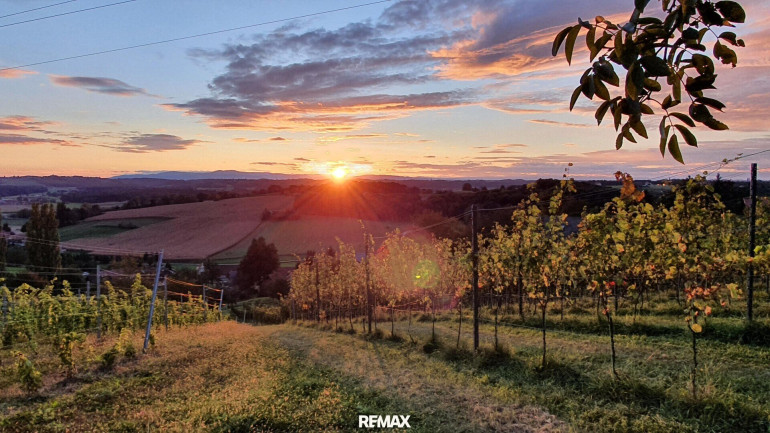 Haus - 8490, Bad Radkersburg - IN SLOWENIEN! Winzerhaus mit Weingarten und Blick bis zum Horizont!