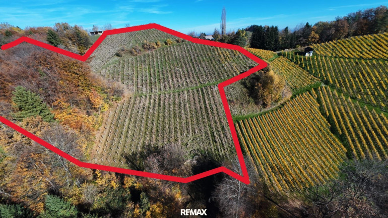 Land und Forstwirtschaft - 8462, Gamlitz - Abverkauf !! Weingarten mit Landwirtschaft in Kranach, Gemeinde Gamlitz zum Schnäppchenpreis( ZONE III )