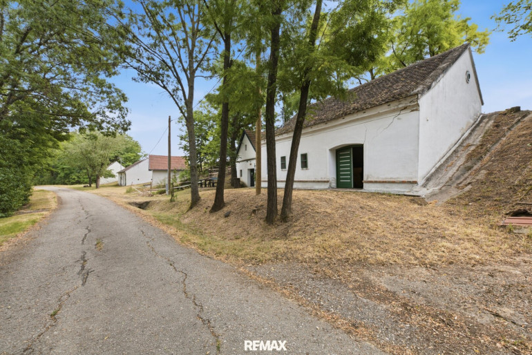 Sonstige - 3720, Minichhofen - Charmantes Weinpresshaus mit Weinkeller in Minichhofen – Idyllische Grünruhelage im sonnigen Weinviertel