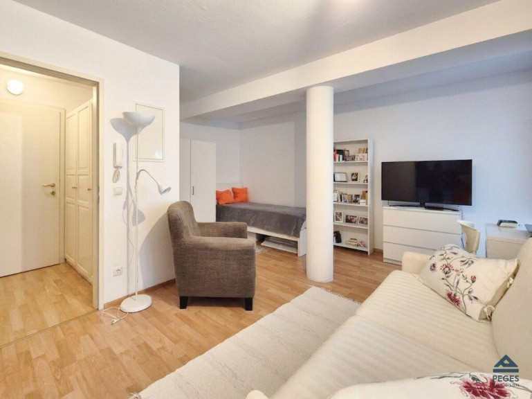 Wohnung - 5400, Hallein - Charmante Anleger-Großgarconniere im Herzen von Hallein