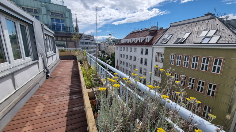 Wohnung - 1010, Wien - möbliertes City Apartment mit Terrasse, 2 Schlafzimmer