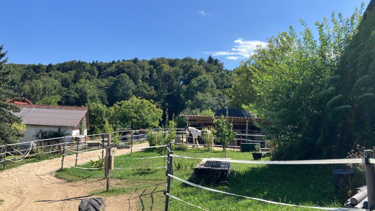 Haus - 8342, Gnas - Deine Tiere und Du - bei Feldbach