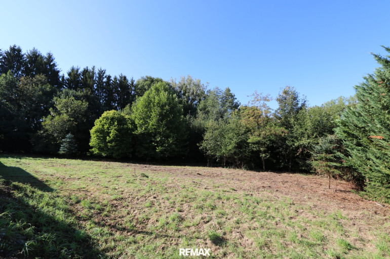 Grundstück - 4641, Steinhaus - Vom Traum zum Zuhause – 821 m² Lebensfreude in Steinhaus - Grundstück mit vielen Möglichkeiten