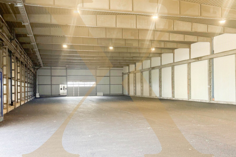 Halle / Lager / Produktion - 4910, Ried im Innkreis - Großzügige Lagerhalle mit guter Raumhöhe in Ried im Innkreis zu vermieten! Erweiterbar! Teilbar! Freiflächen vorhanden!