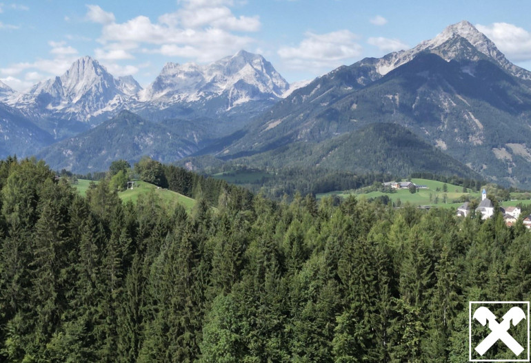 Grundstück - 4574, Vorderstoder - Wald in attraktiver Ferienregion