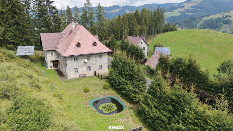 Haus - 8741, Weißkirchen in Steiermark - Historisches Landhaus in Alleinlage