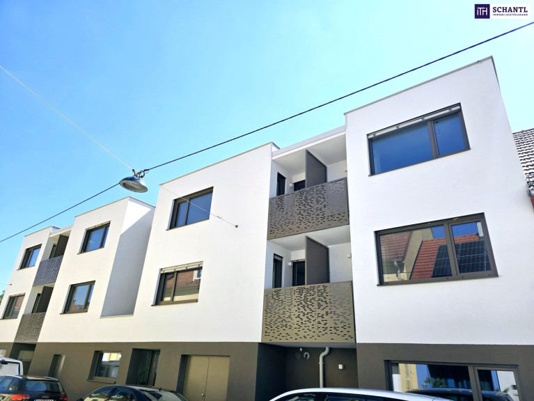 Wohnung - 1230, Wien - So klein, so fein, so rentabel! Ideal investiert! Energieeffizienz durch Photovoltaikanlage und Wärmepumpe! Ruhige Seitengasse + Faires Preis-Leistungs-Verhältnis + Perfekte Anbindung und Nahversorgung! Jetzt zugreifen!