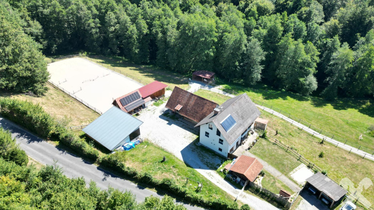 Haus - 8541, Hollenegg - Hollenegg | Pferdehof mit Wohnhaus in Top-Lage
