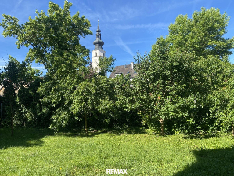 Wohnung - 3433, Königstetten - "Jungfamilienwohnung mit Garten und Parkplatz"