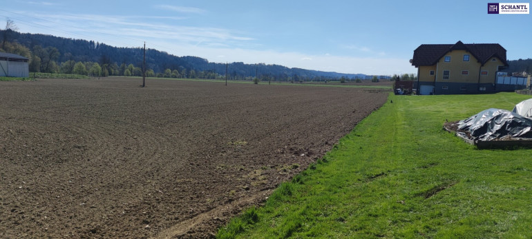Grundstück - 8081, Heiligenkreuz am Waasen - ++GEWERBEGRUNDSTÜCK ca. 20.0000 m² im GROßRAUM von GRAZ und LEIBNITZ++ PERFEKTE VORRAUSSETZUNGEN für BETRIEBSANSIEDLUNG gegeben++ BD 0,2 - 0,6++