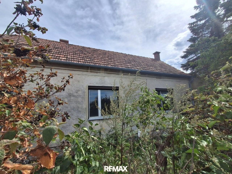 Haus - 7053, Hornstein - ,,Kleines Haus und großer Obstgarten in Hornstein!"