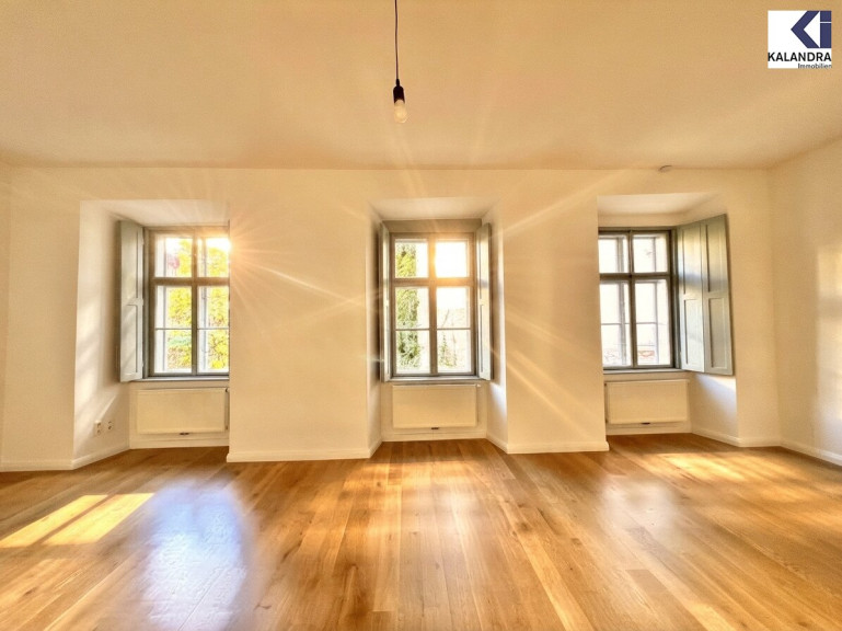 Wohnung - 1010, Wien,Innere Stadt - 360 TOUR // LUXUSWOHNUNG IN BAROCKMEIERHAUS