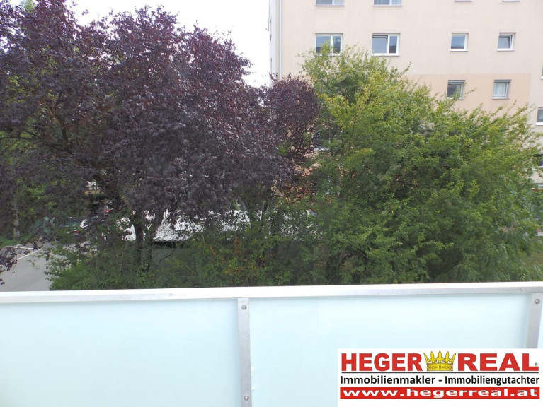 Wohnung - 2700, Wiener Neustadt - 2 ZIMMER - LOGGIA - LIFT
