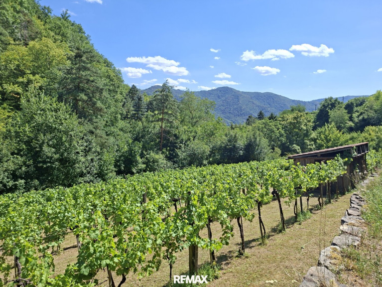Grundstück - 3610, Weißenkirchen in der Wachau - Freizeitgrundstück - Weingarten mit Gartenhütte
