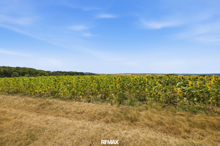 Sonstige - 2011, Untermallebarn - Landwirtschaftliche Fläche ´mit 7926 m² in Untermallebern zu verkaufen!