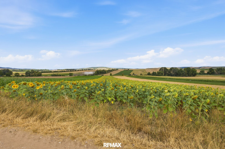 Grundstück - 2011, Untermallebarn - Landwirtschaftliche Fläche mit 11 710 m² in Untermallebern zu verkaufen!