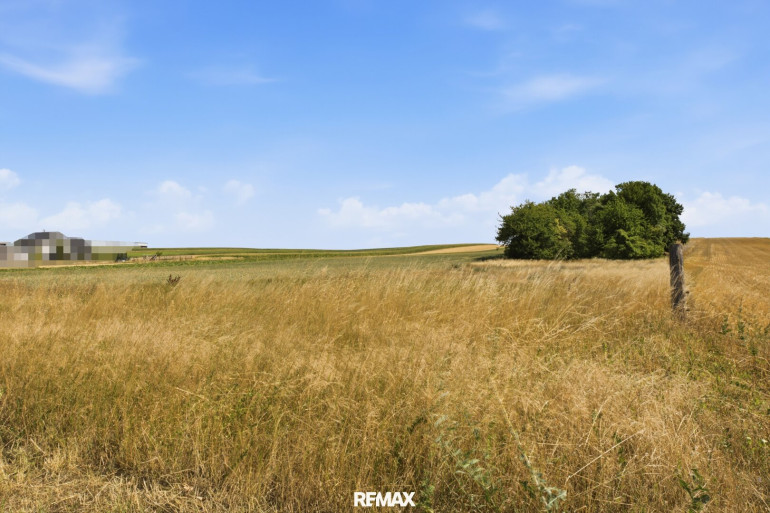 Grundstück - 2011, Untermallebarn - Wald- und landwirtschaftliche Fläche mit 20 370 m² in Untermallebern zu verkaufen!