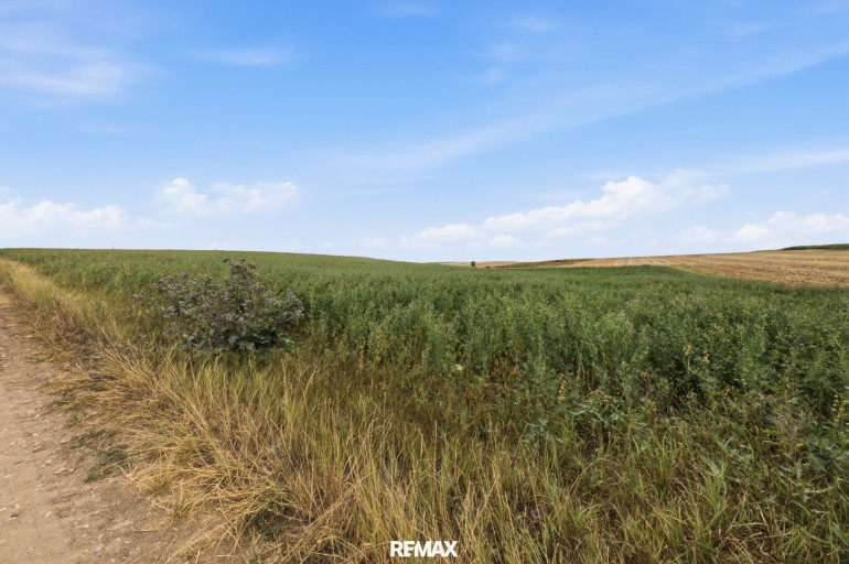 Grundstück - 2011, Untermallebarn - Landwirtschaftliche Fläche mit 7026  m² in Untermallebern zu verkaufen!