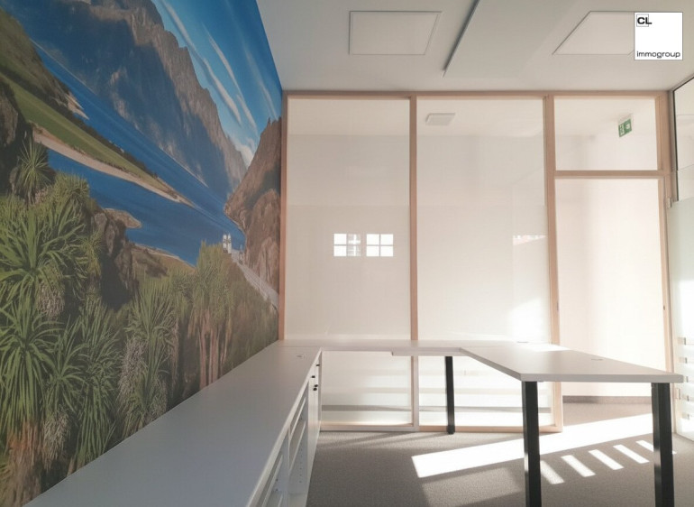 Büro / Praxis - 5310, Mondsee - Büro I Praxis I Co-Working im Schlosshof von Mondsee – Top Lage