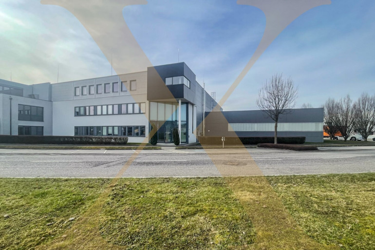 Halle / Lager / Produktion - 4030, Linz - Flexible Gewerbeliegenschaft mit Hallen- und Büroflächen im Südpark Linz zu vermieten!