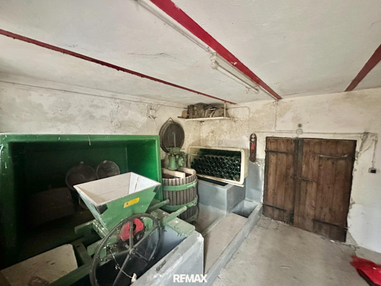 Halle / Lager / Produktion - 2193, Bullendorf - Charmanter Weinkeller mit Grünfläche im Weinviertel