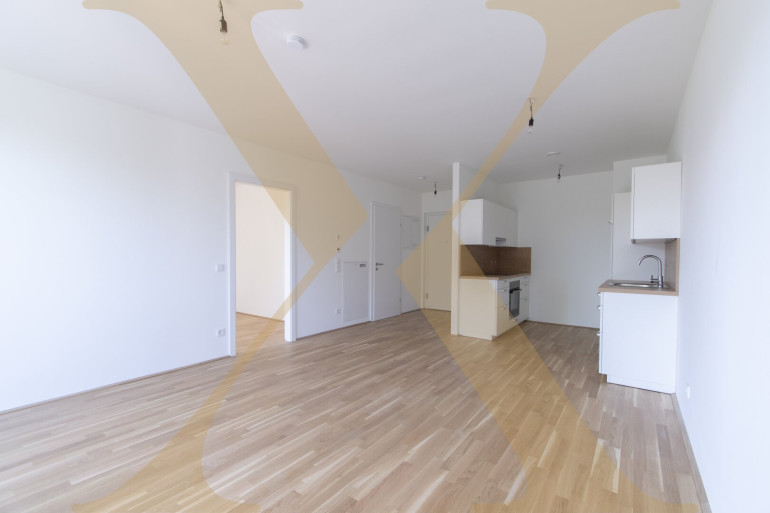 Wohnung - 4020, Linz - Erstklassige 2-Zimmer-Wohnung mit tollem Ostbalkon in Linz nahe Hummelhofwald zu vermieten!