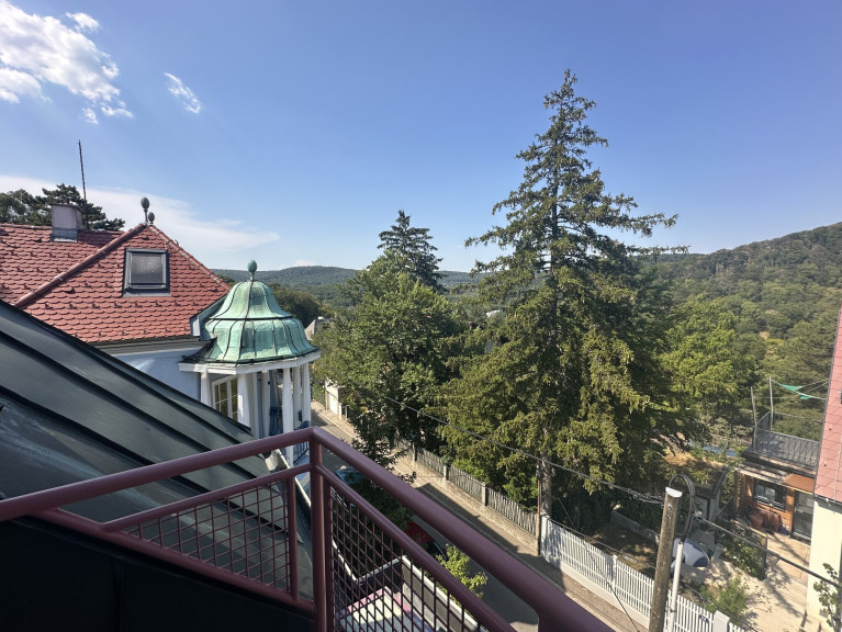 Haus - 1170, Wien - Wohnen im Grünen: Charmantes Einfamilienhaus mit Garten im 17. Bezirk
