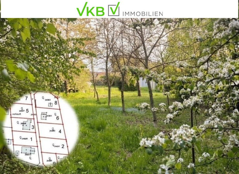 Grundstück - 4211, Spattendorf - Großzügiges Grundstück guter Lage nähe Gallneukirchen! – Gemeinde Alberndorf in der Riedmark (GST 2438/3)