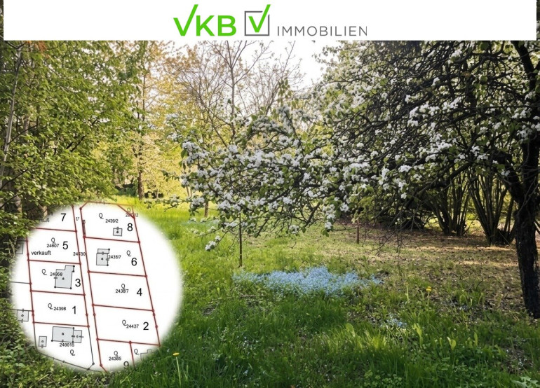 Grundstück - 4211, Spattendorf - Großzügiges Grundstück nähe Gallneukirchen! - Gemeinde Alberndorf in der Riedmark (GST 2443/1)