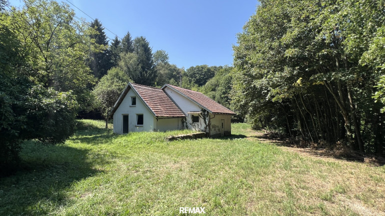 Haus - 7433, Bergwerk - NATUR PUR - Wohnhaus in außergewöhnlicher Lage und großem Grundstück!