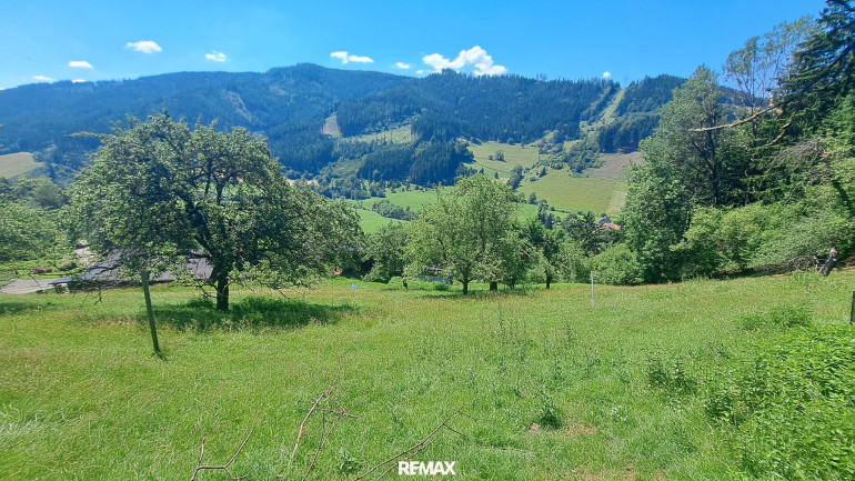 Grundstück - 8600, Kapfenberg - Sonniges Baugrundstück in Panoramalage Nähe LKH Bruck/Mur